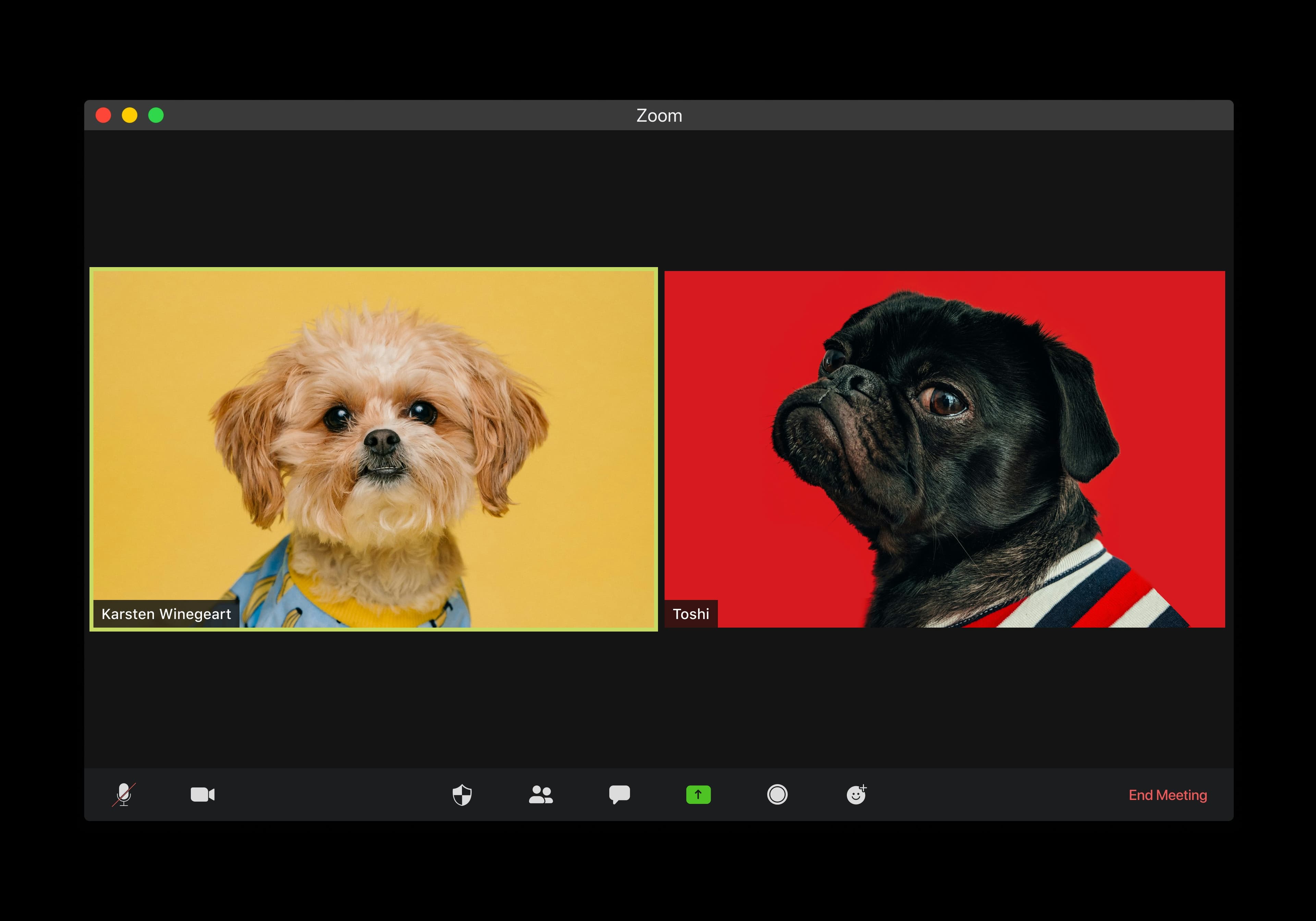 How AICLEX Turned AI Search into a Lead Engine for Their Zoom Reseller Business